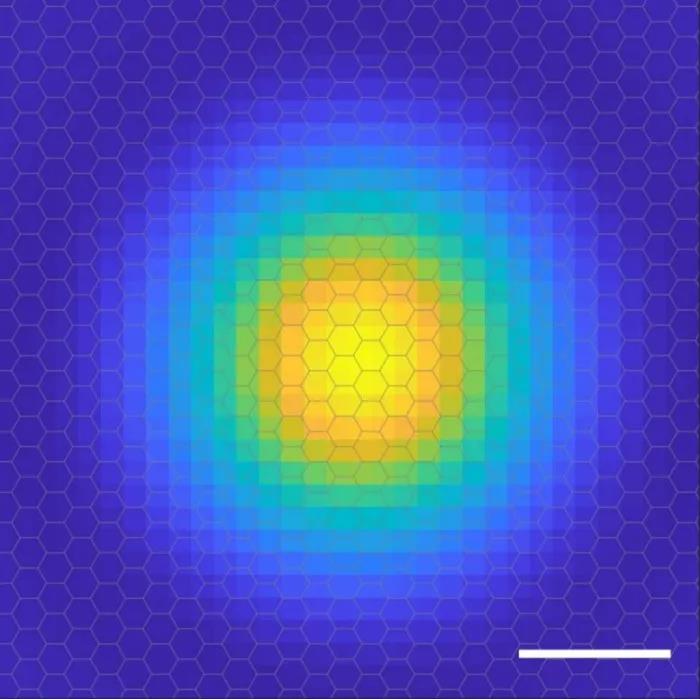 Ett sekel efter upptäckten har människor fångat elektronomloppsbilden av excitoner för första gången